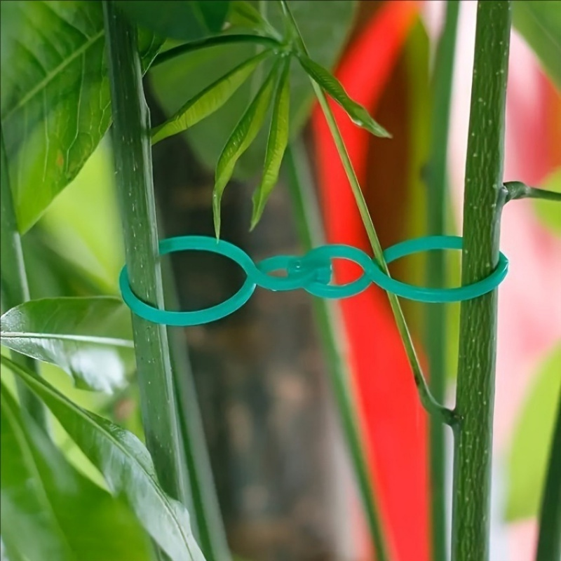 Kit de Suporte para Plantas de - Tie Clip Set avaliação e preço
