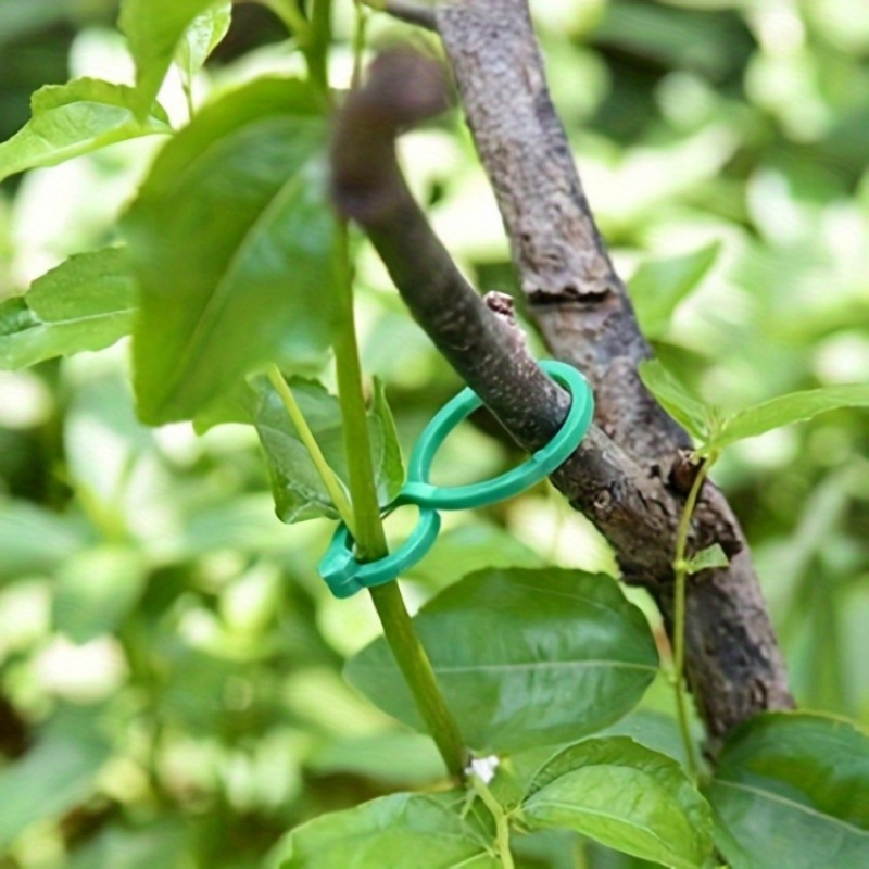 Kit de Suporte para Plantas de - Tie Clip Set avaliação e preço